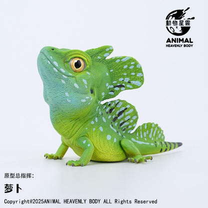 Plumed Basilisk | Basiliscus Plumifrons