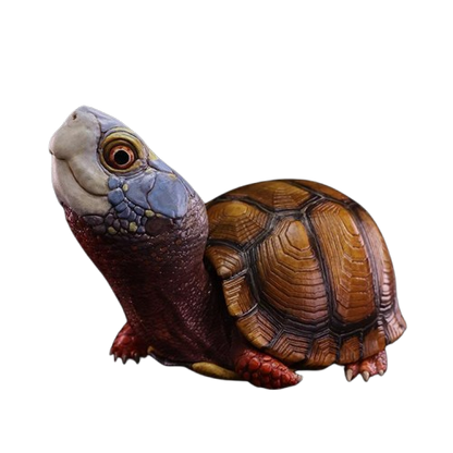 Mexican Box Turtle | Terrapene Mexicana