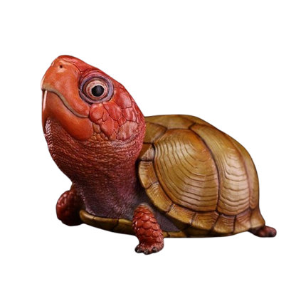 Three-toed Box Turtle | Terrapene Carolina Triunguis
