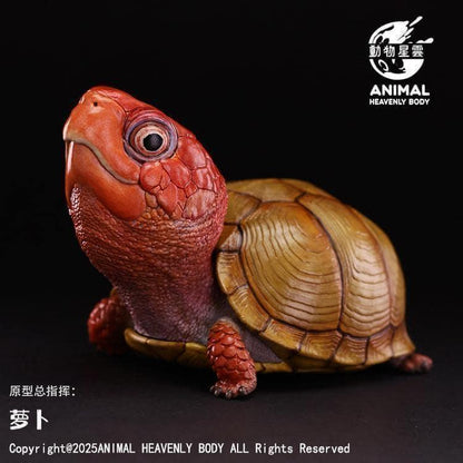 Three-toed Box Turtle | Terrapene Carolina Triunguis