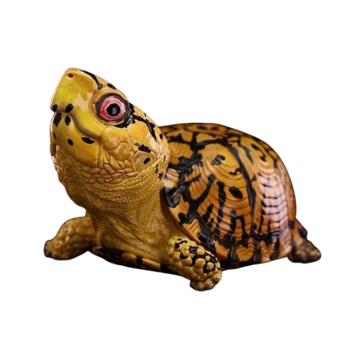 Eastern Box Turtle (Yellow) | Terrapene Carolina Carolina