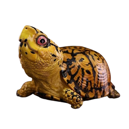 Eastern Box Turtle (Yellow) | Terrapene Carolina Carolina
