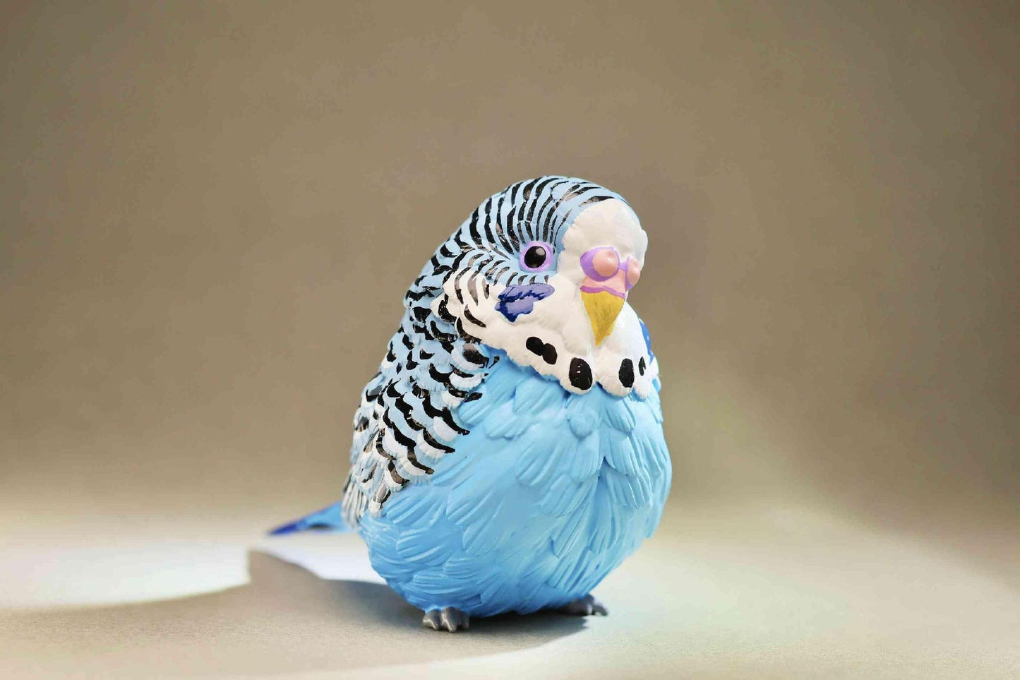 Budgerigar (Blue) | Melopsittacus Undulatus