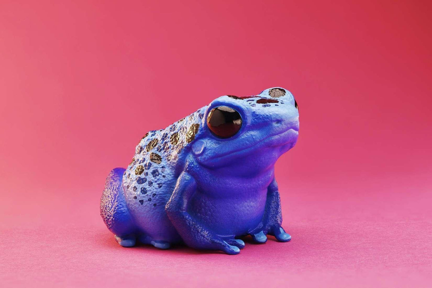 Cobalt Poison Dart Frog | Dendrobates Tinctorius