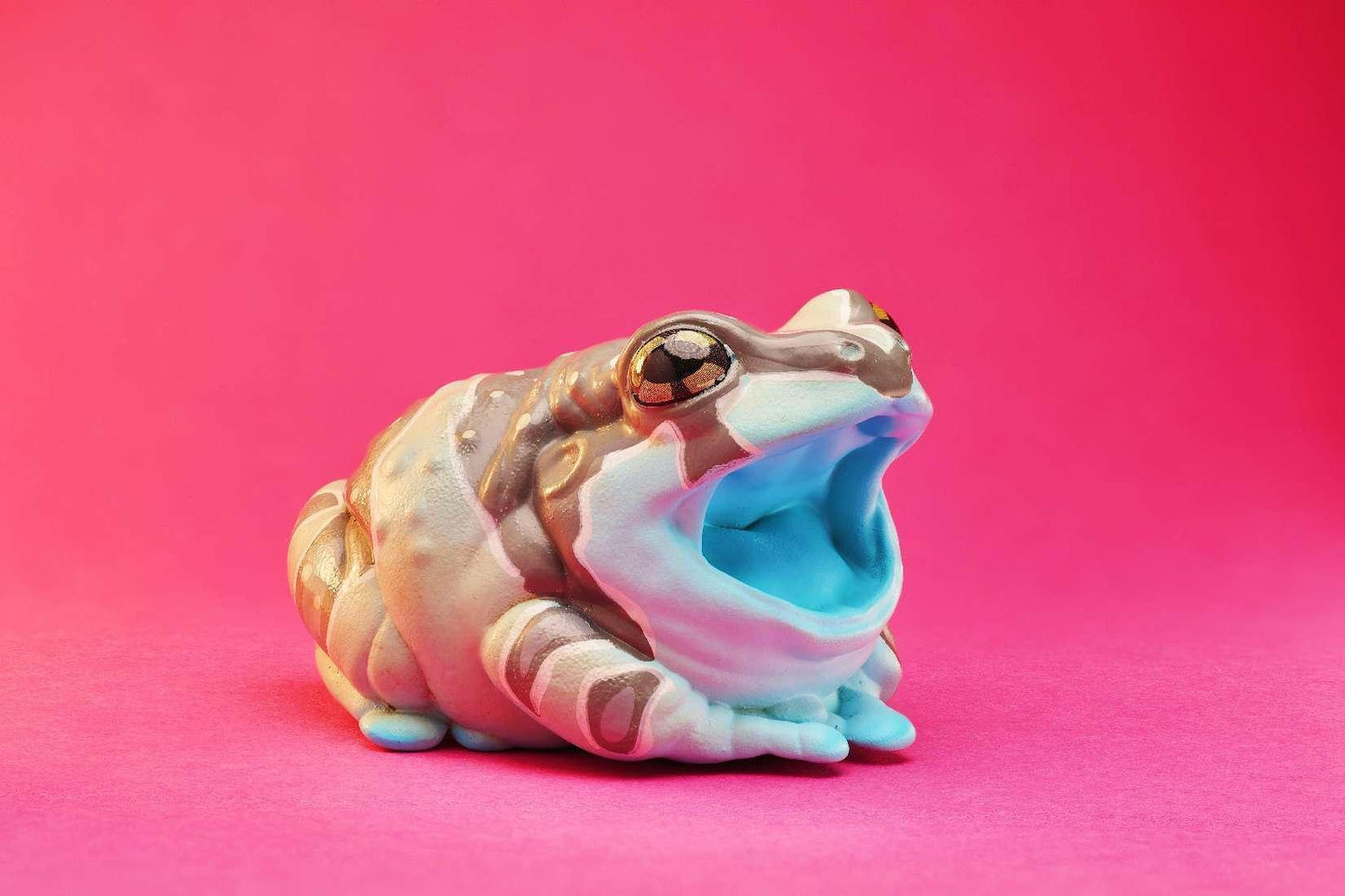 Amazon Milk Frog | Trachycephalus Resinifictrix