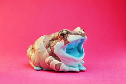 Amazon Milk Frog | Trachycephalus Resinifictrix