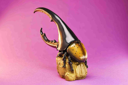 Hercules Beetle (Yellow Wing) | Dynastes Hercules