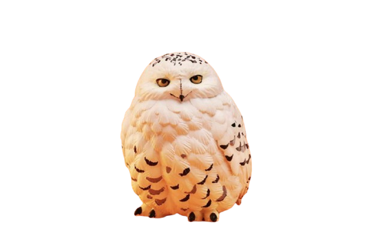 Snowy Owl