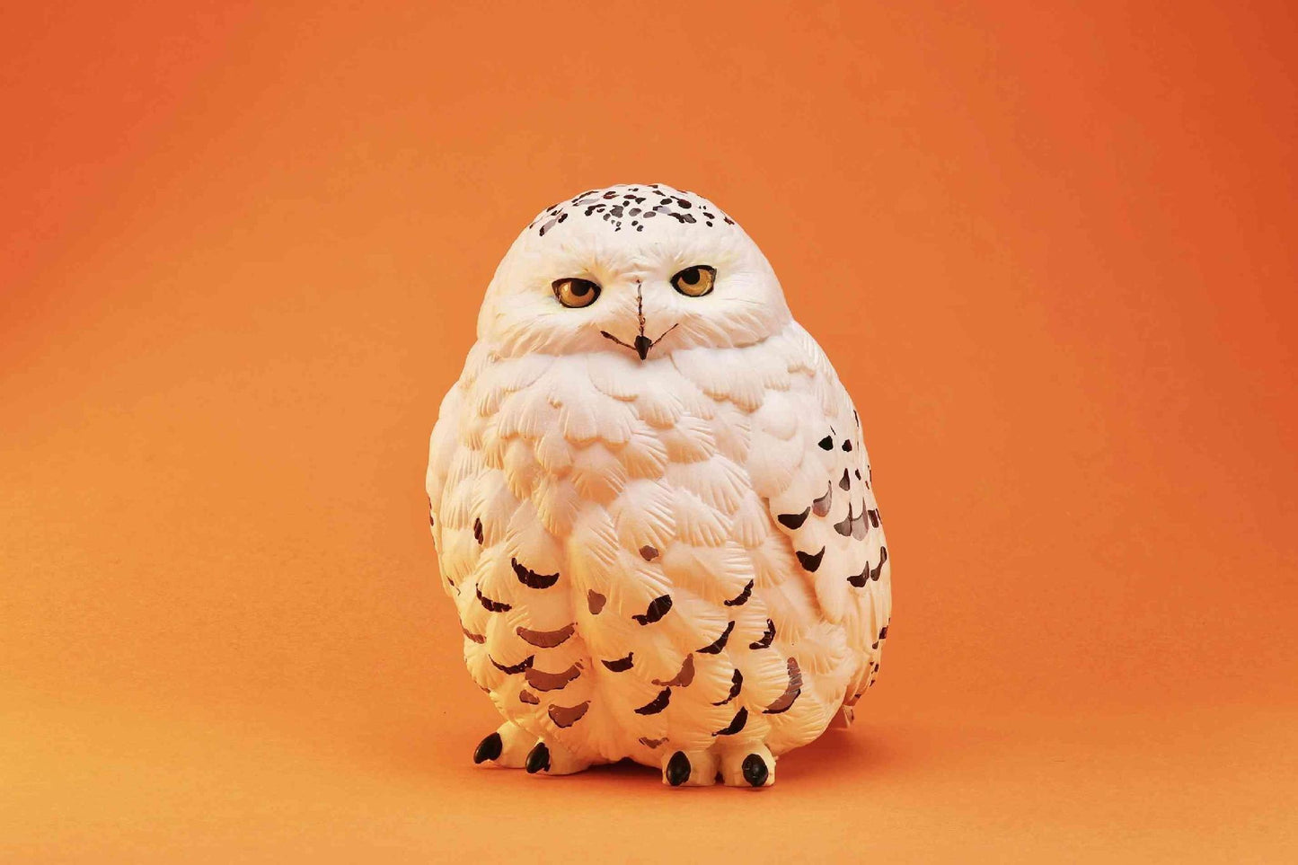 Snowy Owl | Bubo Scandiacus
