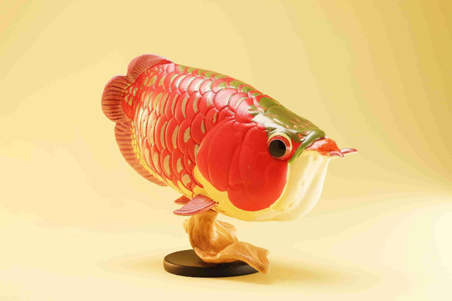 Indonesian Red Arowana | Scleropages Legendrei
