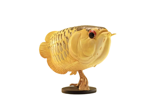 Asian Arowana | Scleropages Formosus