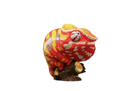 Panther Chameleon Red (Furcifer pardalis)