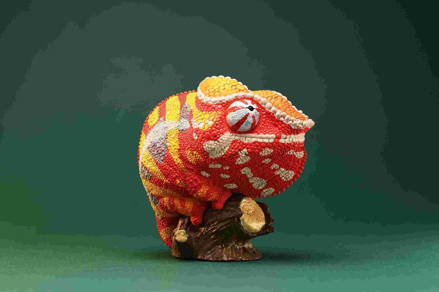 Panther Chameleon | Furcifer Pardalis