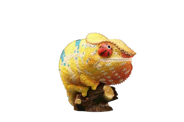 Panther Chameleon | Furcifer Pardalis