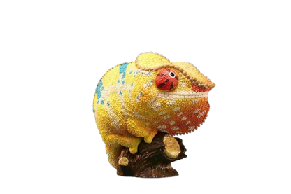 Panther Chameleon | Furcifer Pardalis