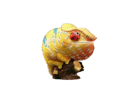 Panther Chameleon Yellow (Furcifer pardalis)