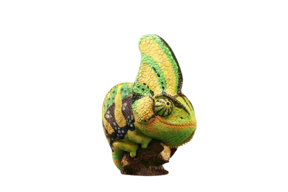 Veiled Chameleon (Green) | Chamaeleo Calyptratus