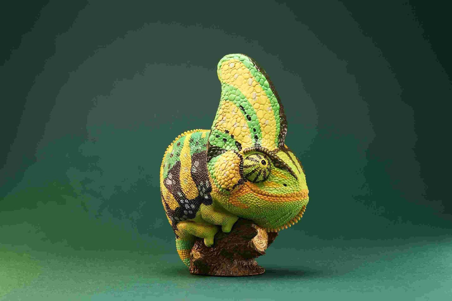 Veiled Chameleon (Green) | Chamaeleo Calyptratus