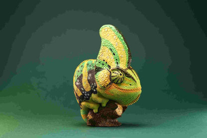 Veiled Chameleon (Green) | Chamaeleo Calyptratus