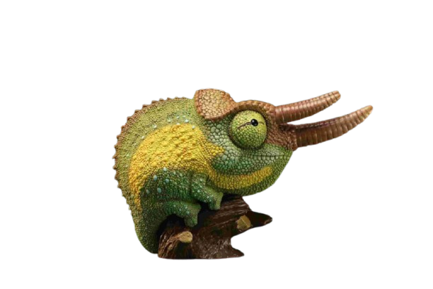 Jackson’s Chameleon | Trioceros Jacksonii