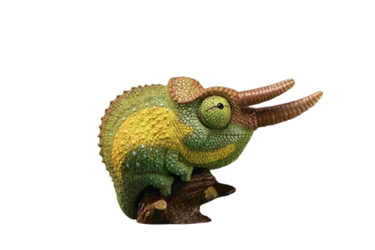 Jackson’s Chameleon | Trioceros Jacksonii