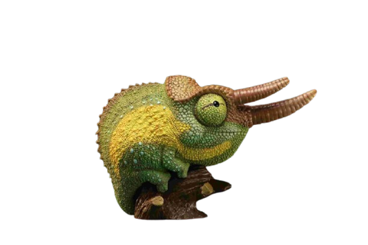 Jackson’s Chameleon (Trioceros jacksonii)