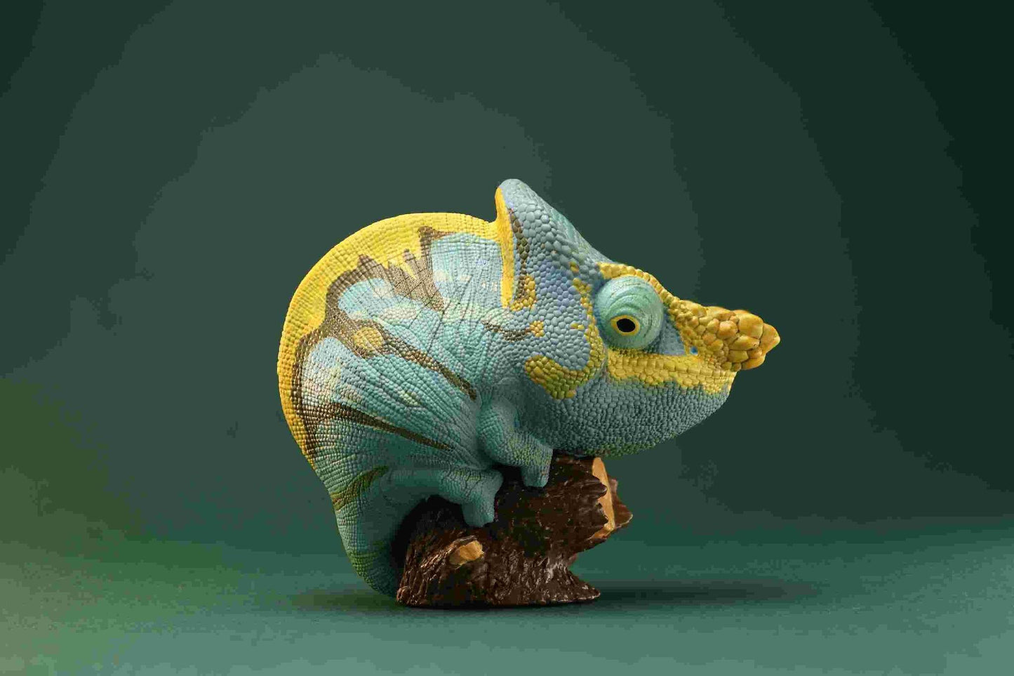 Parson’s Chameleon | Calumma Parsonii