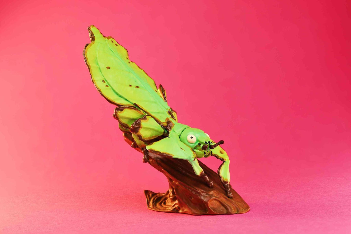 Giant Leaf Insect | Pulchriphyllium Giganteum