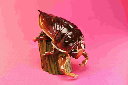 Giant Water Bug | Lethocerus Deyrollei