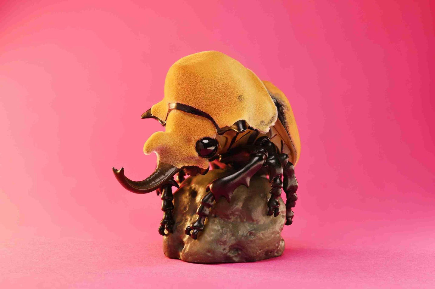 Elephant Beetle | Megasoma Elephas
