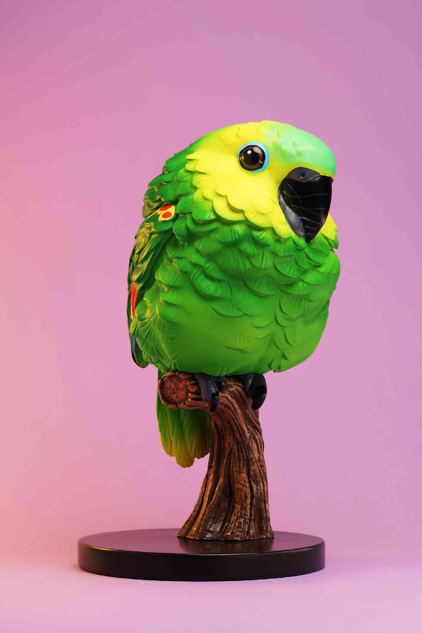Blue-crowned Parakeet | Thectocercus Acuticaudatus