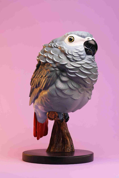 African Grey Parrot | Psittacus Erithacus