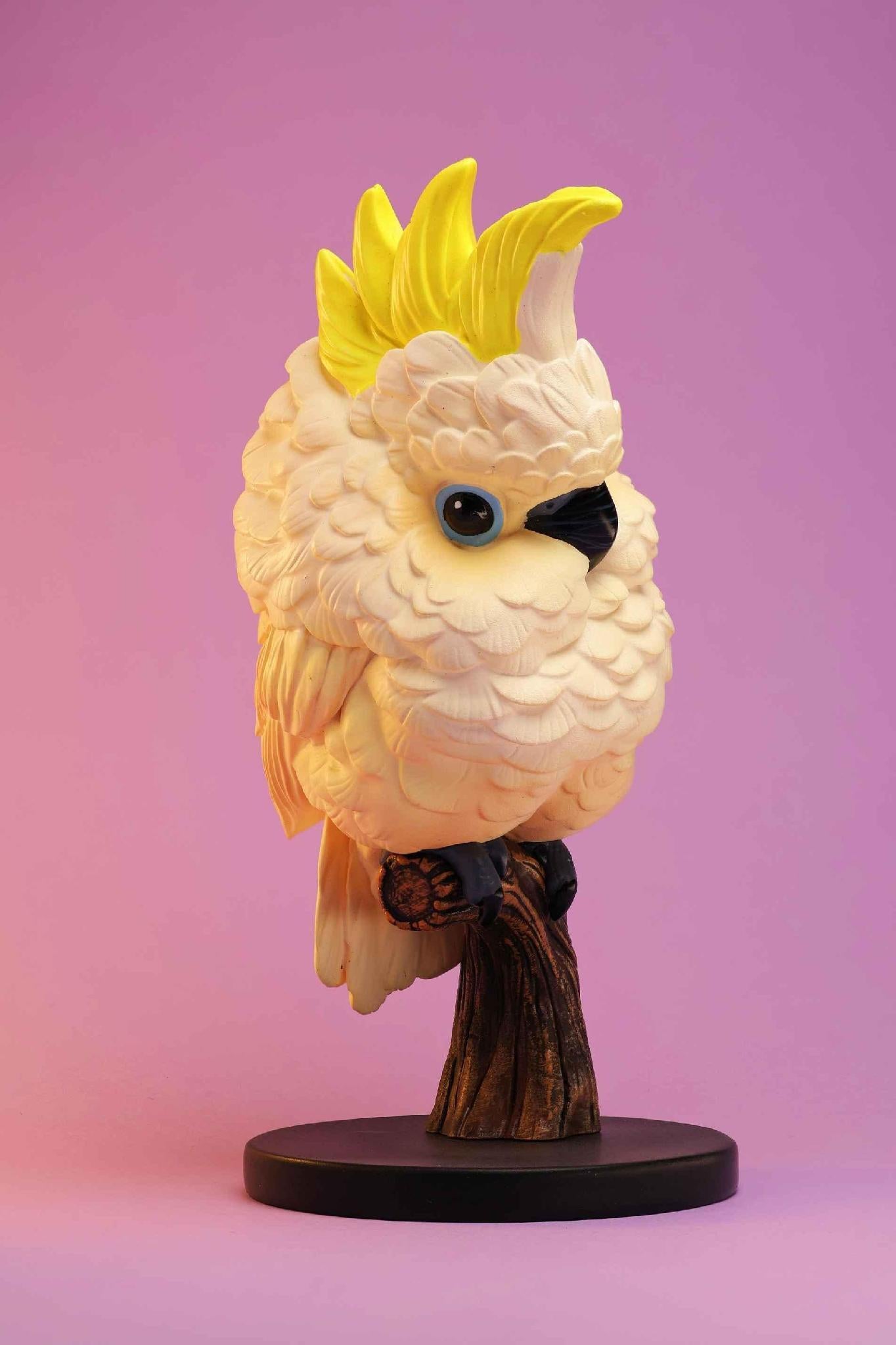 Sulphur-crested Cockatoo | Cacatua Galerita