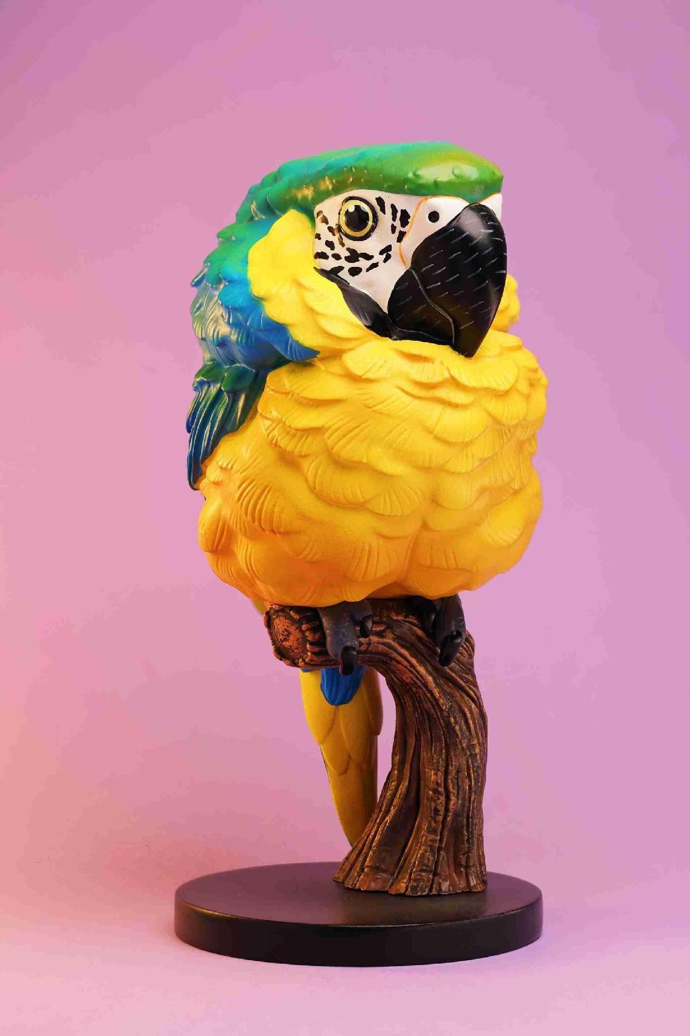 Blue-and-yellow Macaw | Ara Ararauna