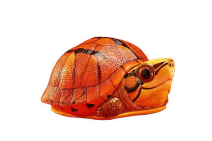Three-banded Box Turtle | Cuora Trifasciata