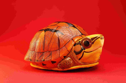 Three-banded Box Turtle | Cuora Trifasciata