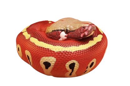 Red Blood Python