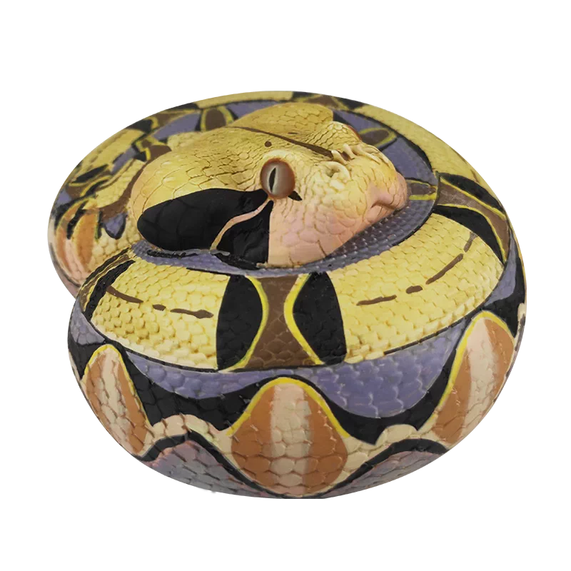 Bitis Gabonica / Gaboon viper