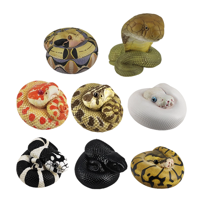 Python regius | Ball python
