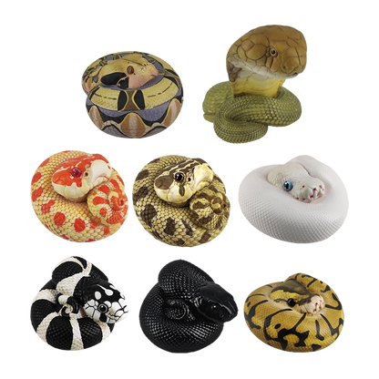 Python regius | Ball python