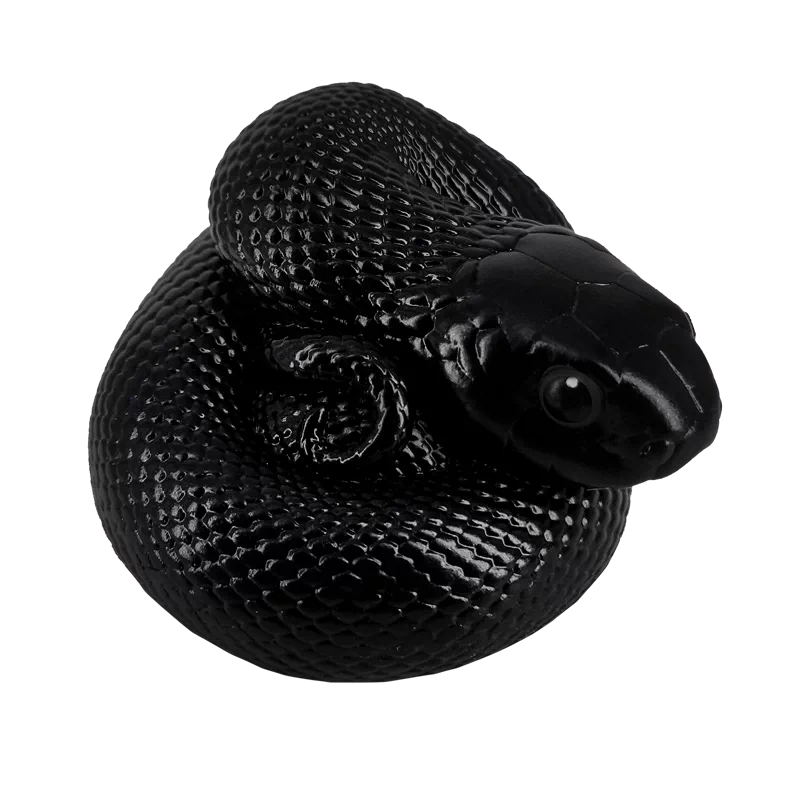 Lampropeltis getula nigrita | Mexican black kingsnake