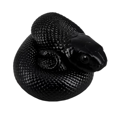 Lampropeltis getula nigrita | Mexican black kingsnake