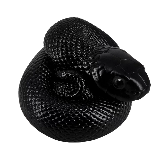 Lampropeltis getula nigrita | Mexican black kingsnake
