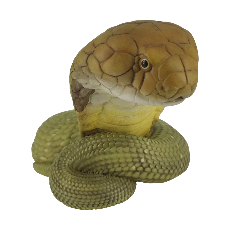 Ophiophagus hannah | King cobra
