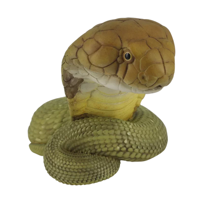 Ophiophagus hannah | King cobra