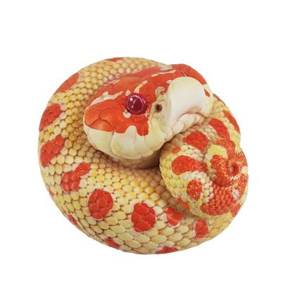 Eterodon nasicus / Western hognose snake