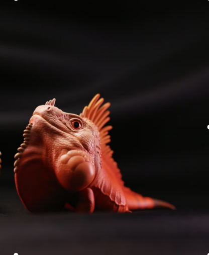 Green Iguana (Red Albino) | Iguana Iguana
